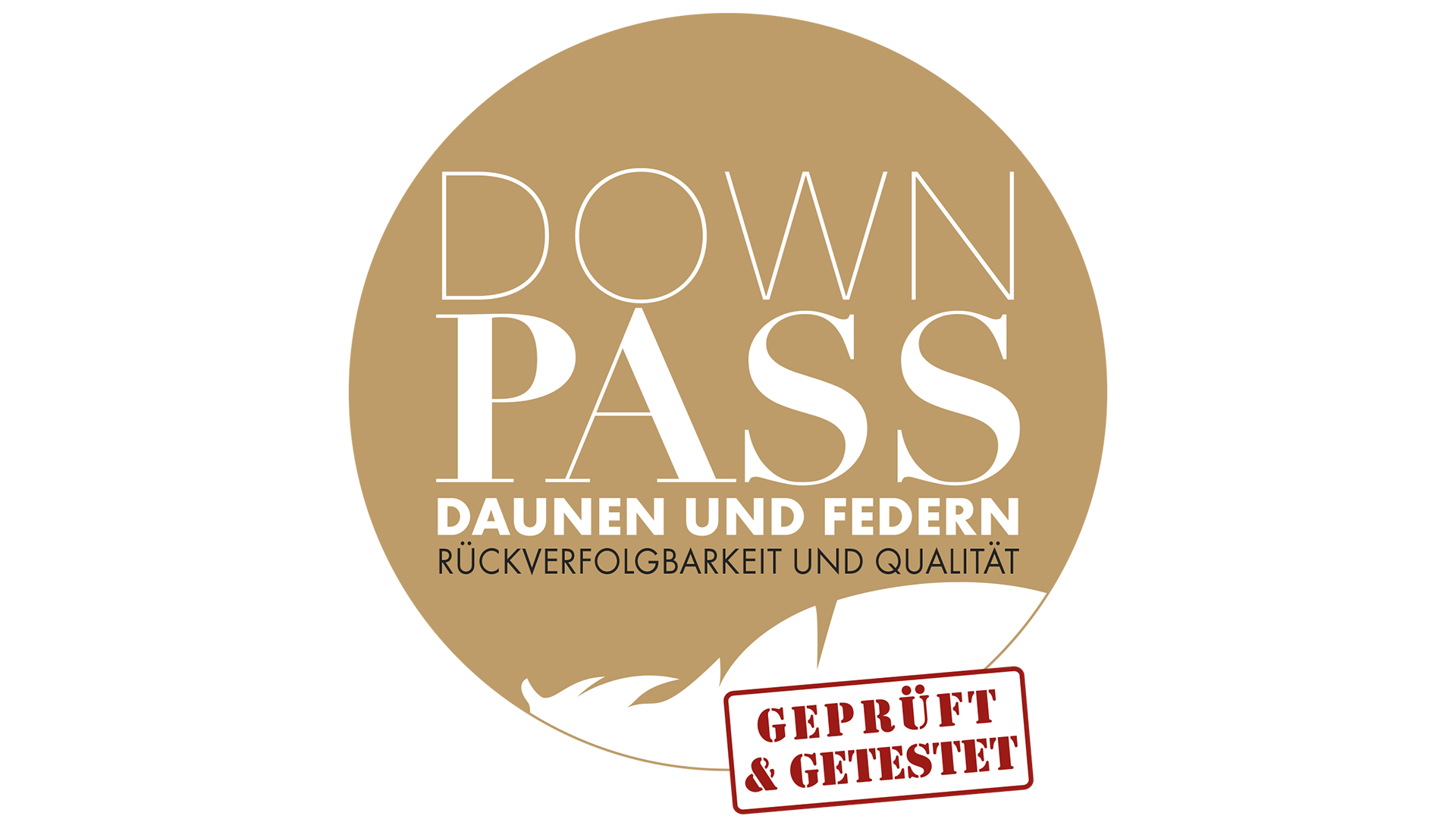 Downpass 2017 Logo DE